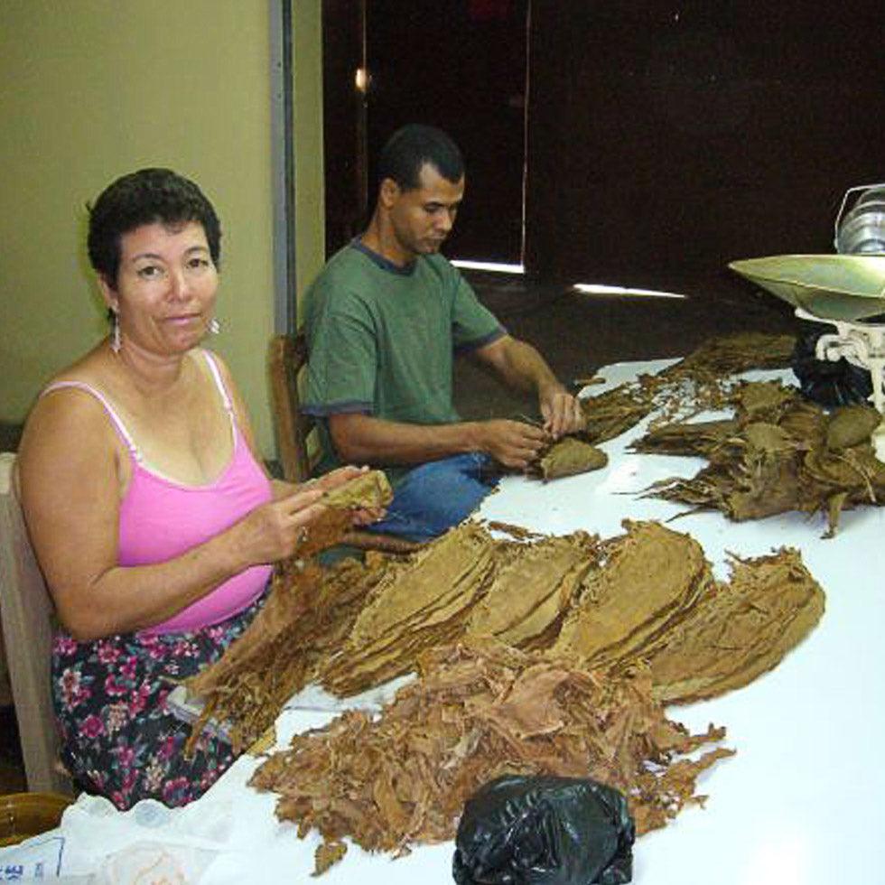 A man and a woman rolling tobacco leaves to make a cigar.